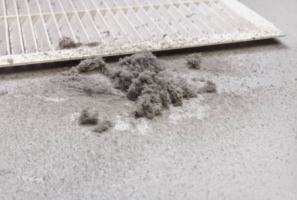 Best Dryer Vent Cleaning Services  in Columbus, WI